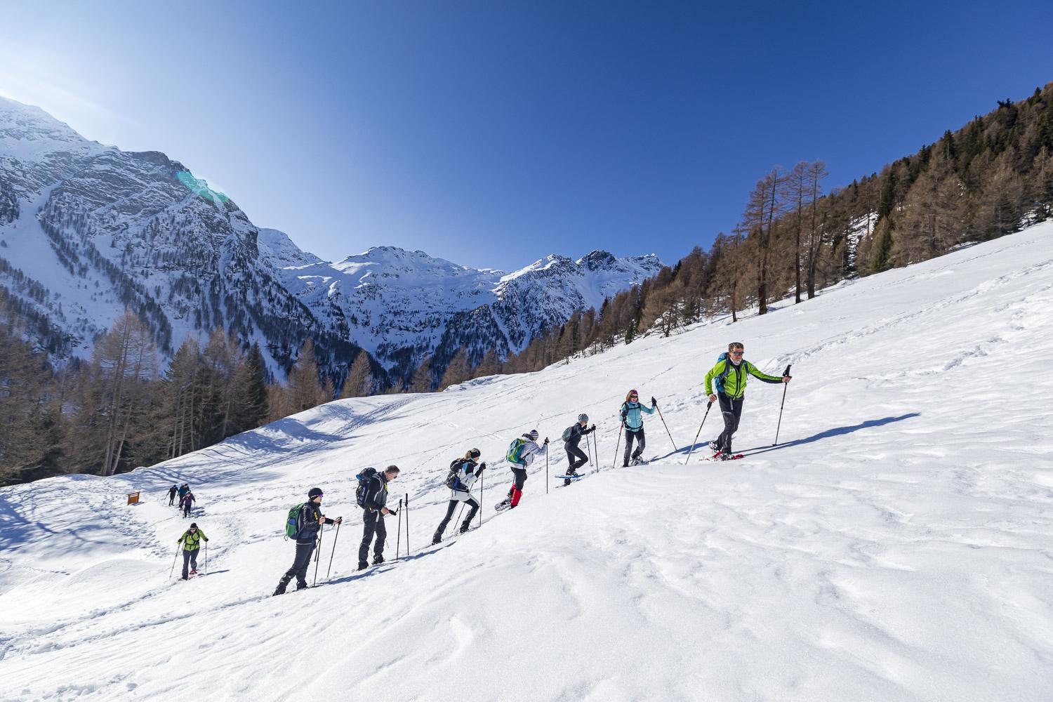 ciaspole val_di_pejo_chalet_alpenrose ciaspole val_di_pejo_chalet_alpenrose