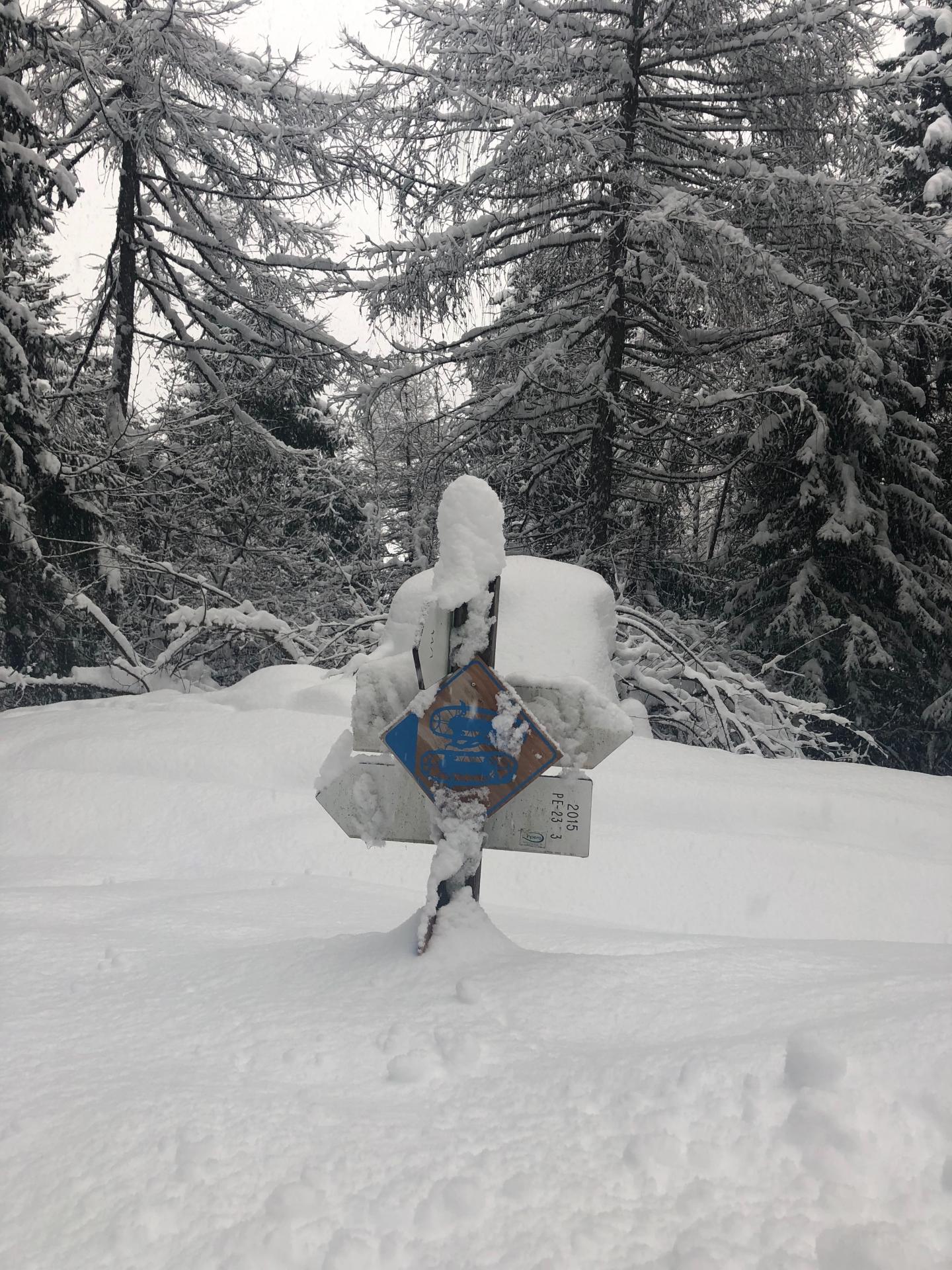 schneeschuhwandern Nationalpark_Stilfserjoch_chalet_alpenrose schneeschuhwandern Nationalpark_Stilfserjoch_chalet_alpenrose