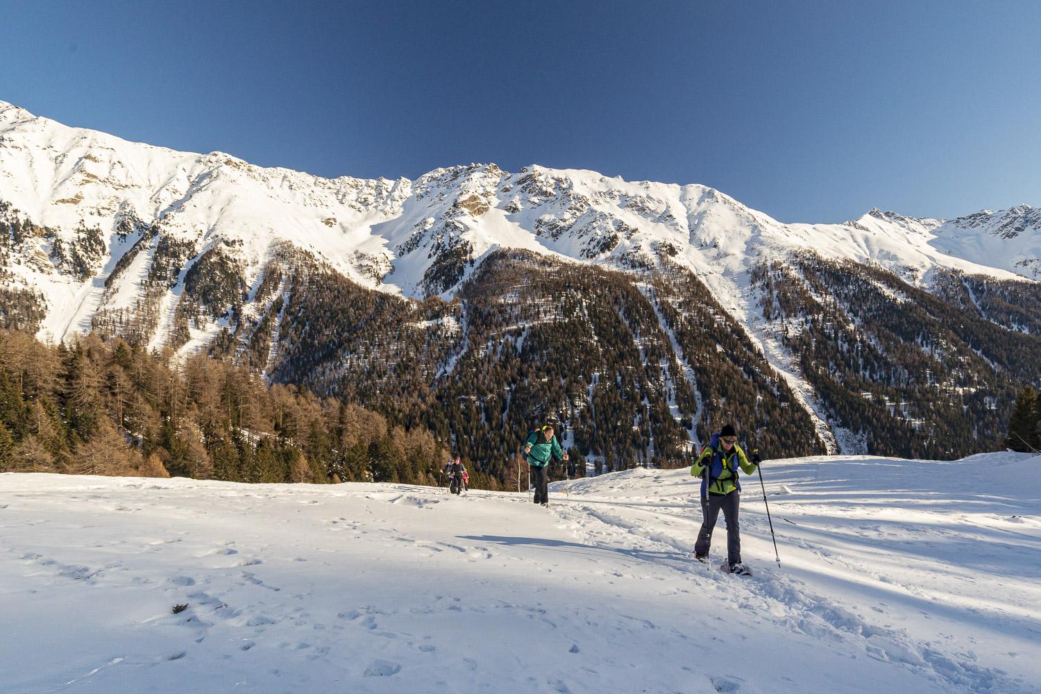 schneeschuhwandern val_di_pejo_Trentino schneeschuhwandern val_di_pejo_Trentino