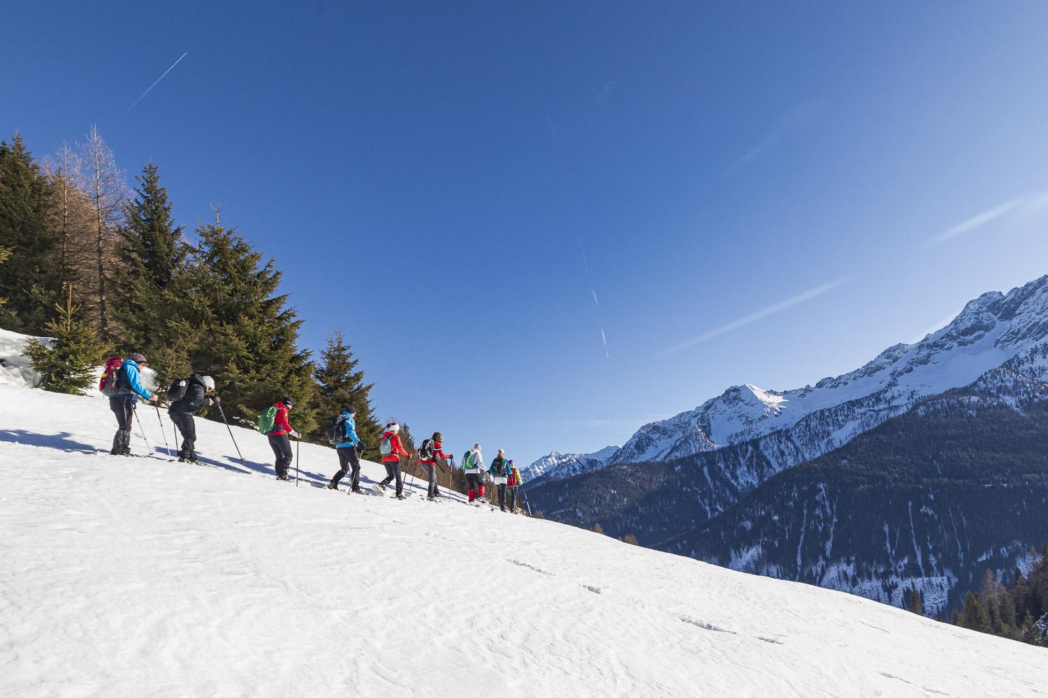 schneeschuhwandern trentino_chalet_alpenrose schneeschuhwandern trentino_chalet_alpenrose