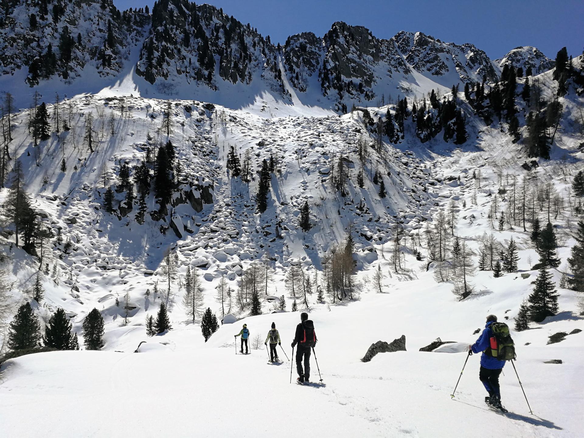 schneeschuhwandern trentino_chalet_alpenrose schneeschuhwandern trentino_chalet_alpenrose